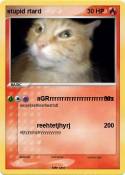 stupid rtard