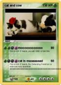 cat and cow