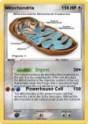 Mitochondria