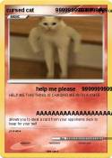 cursed cat