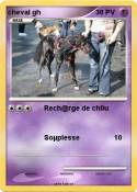 cheval gh