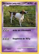 fox terrier jad