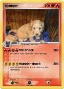 scamper