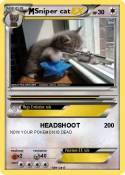 Sniper cat