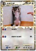 scard cat