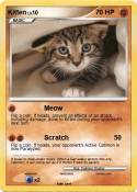 Kitten