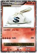 money bag
