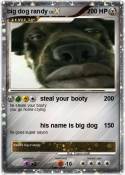 big dog randy