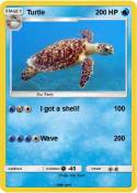 Turtle