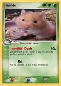 Hamster