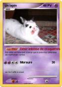Un lapin