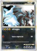 zekrom e reschi