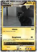 Pikacat