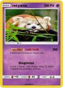 red panda