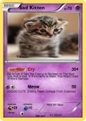 Sad Kitten