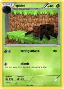 spider