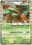 torterra ex