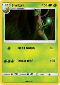 Shellzer