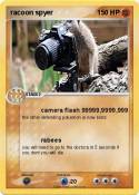 racoon spyer