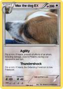 Max the dog