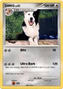 DAWG