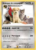 Animaux de comp