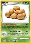 POTATO