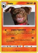 puppy