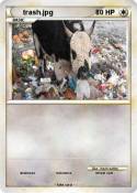 trash.jpg