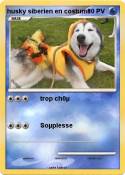 husky siberien