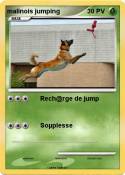 malinois jumpin