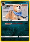 Shine inu