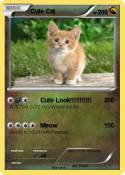 Cute Cat