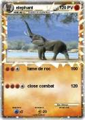 elephant