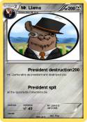 Mr. Llama