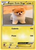 Super Cute Dog