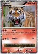 tiger