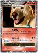 Beast dog