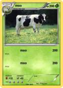 moo