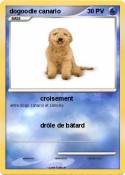 dogoodle canari