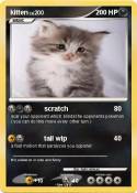 kitten