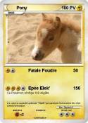 Pony