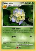 Flower
