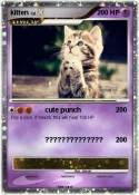 kitten