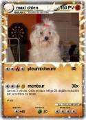 maxi chien