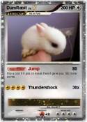 DumRabit