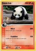 Panda Cub