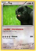 Pug