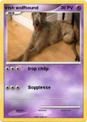 irish wolfhound