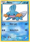 Mudkip